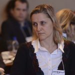 “Uma sugestão é oferecer uma flexibilidade para as pequenas e médias empresas", Viviane Muller Prado, professora da FGV Direito SP