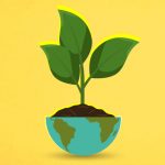 As lições do Greenpeace para o investimento ESG