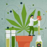 O futuro promissor da indústria de Cannabis