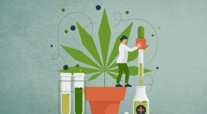 O futuro promissor da indústria de Cannabis